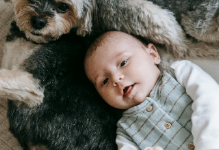 baby with dog